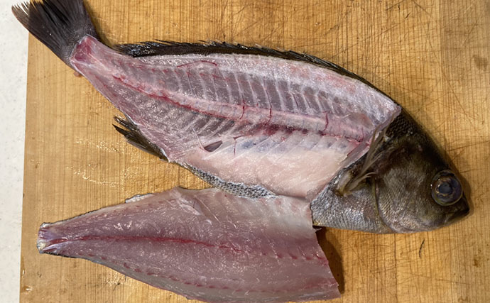 初夏の旬魚イサキを「フィレナイフ」で捌いてみた　しなる刃が魚体に沿って三枚おろし精度アップ！