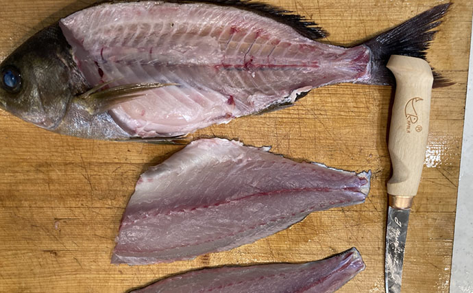 初夏の旬魚イサキを「フィレナイフ」で捌いてみた　しなる刃が魚体に沿って三枚おろし精度アップ！