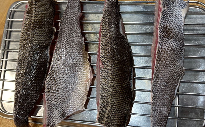 初夏の旬魚イサキを「フィレナイフ」で捌いてみた　しなる刃が魚体に沿って三枚おろし精度アップ！