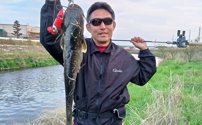 お手軽ルアー釣り「ナマズゲーム」入門　【場所・タックル・ルアー・時間帯・釣り方を解説】