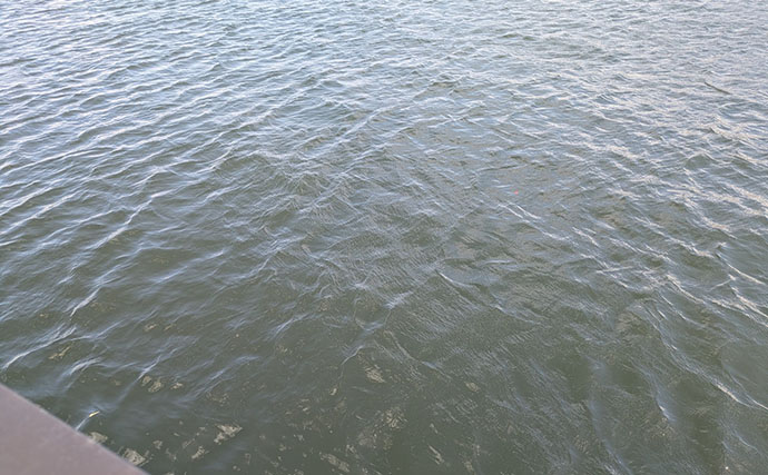 琵琶湖の夏の風物詩「小鮎釣り」が開幕　爆風対策の仕掛け的中で本命好捕【滋賀】