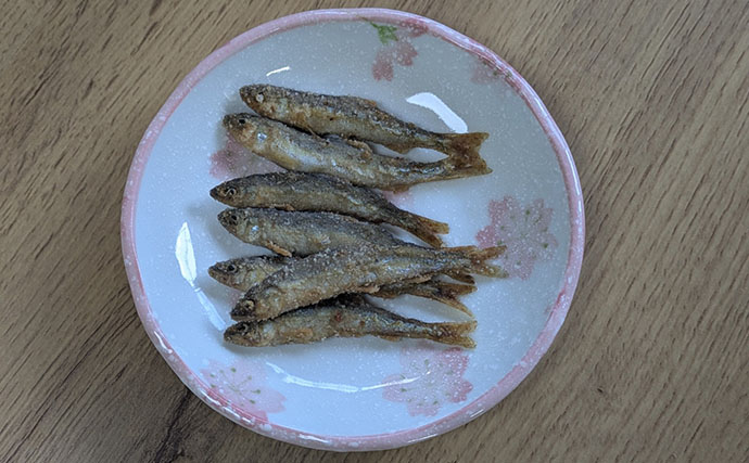 琵琶湖の夏の風物詩「小鮎釣り」が開幕　爆風対策の仕掛け的中で本命好捕【滋賀】