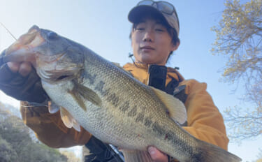 シーズン初釣行で50cm級ブラックバス連続キャッチに成功！【入鹿池・愛…