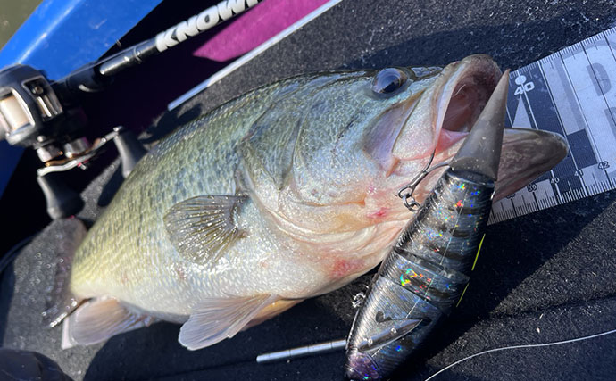 シーズン初釣行で50cm級ブラックバス連続キャッチに成功！【入鹿池・愛知】