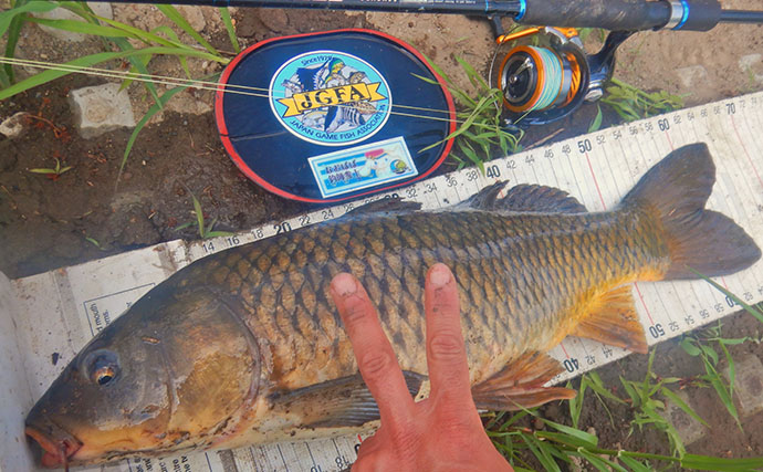「食パンにメーター超え大型魚がヒット！」河川でのウキ釣りで105cmソウギョ手中【埼玉】