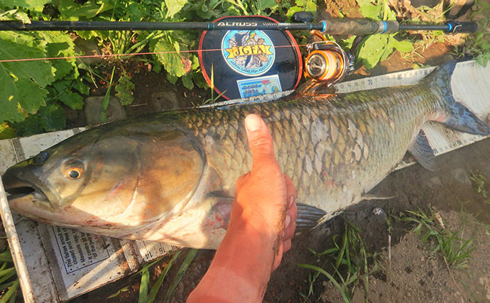 「食パンにメーター超え大型魚がヒット！」河川でのウキ釣りで105cmソウギョ手中【埼玉】