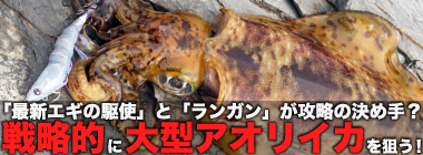沖磯で春の大型アオリイカを狙い撃つ！【宮崎】良型アオリにコウイカ連打の秘訣は最新エギとランガンにあり
