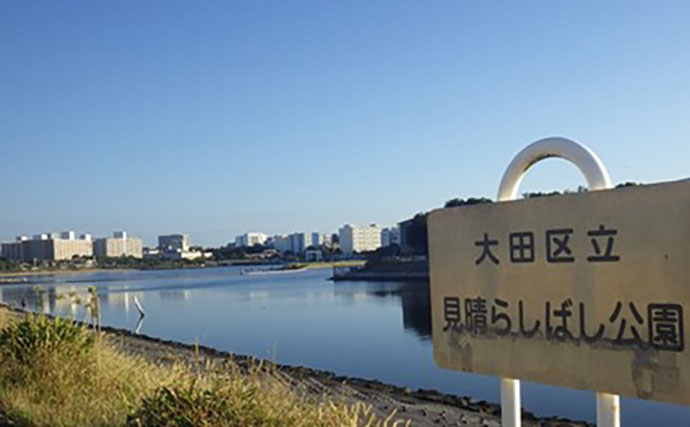 「東京都内でハゼ釣りを楽しもう！」 おすすめハゼ釣り場7選を徹底紹介【東京】