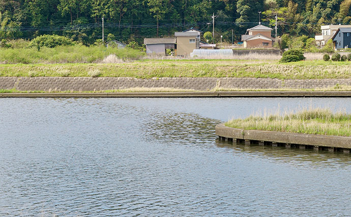 今週のヘラブナ「ピックアップ」釣り場2026【茨城・巴川】