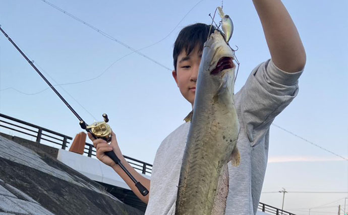 お手軽ルアー釣り「ナマズゲーム」入門　【場所・タックル・ルアー・時間帯・釣り方を解説】
