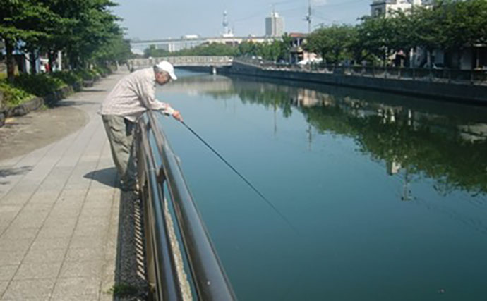 「東京都内でハゼ釣りを楽しもう！」 おすすめハゼ釣り場7選を徹底紹介【東京】
