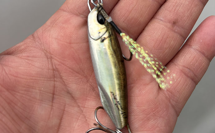 ショアジギングで49cmサゴシをキャッチ！【敦賀新港】ベイトは「稚鮎」