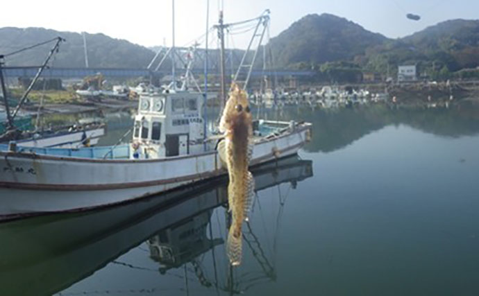 「ベテラン釣り師が推薦！」千葉県・茨城県のおすすめハゼ釣り場11選