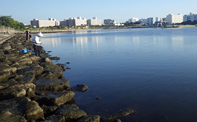 「東京都内でハゼ釣りを楽しもう！」 おすすめハゼ釣り場7選を徹底紹介【東京】