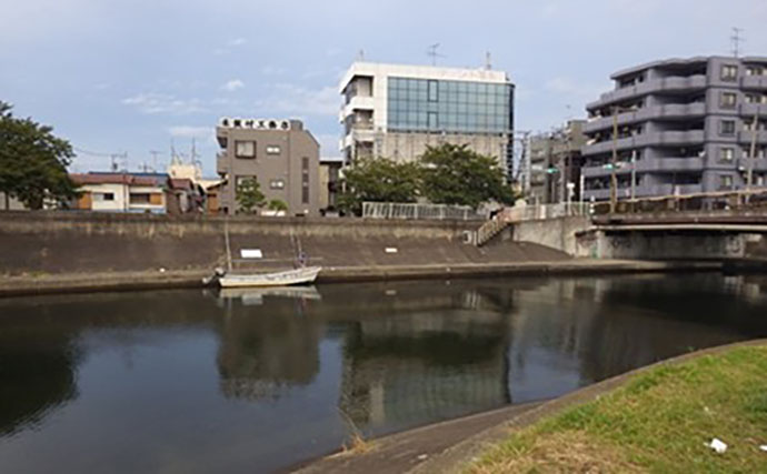 「東京都内でハゼ釣りを楽しもう！」 おすすめハゼ釣り場7選を徹底紹介【東京】