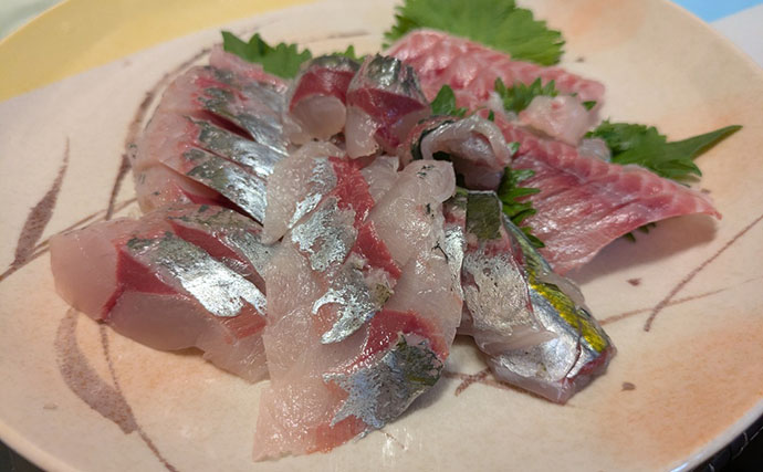 見老津での天びんカゴフカセ釣りでキンムロにジャンボイサギ好捕【黒龍丸・和歌山】