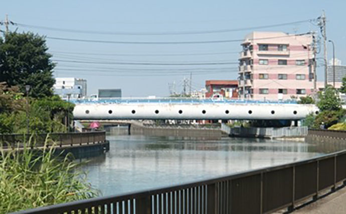 「東京都内でハゼ釣りを楽しもう！」 おすすめハゼ釣り場7選を徹底紹介【東京】