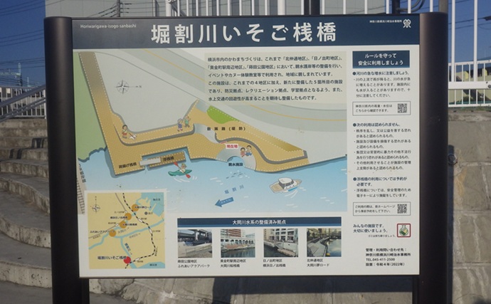 「ベテラン釣り師が厳選！」神奈川県のおすすめハゼ釣り場５選を難易度別に紹介