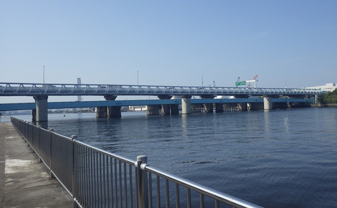 「ベテラン釣り師が厳選！」神奈川県のおすすめハゼ釣り場５選を難易度別に紹介