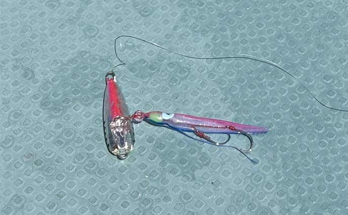 上対馬でのタイラバ＆インチク釣行でキジハタやアカハタなど根魚が入れ食い！【長崎】