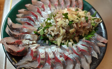 走水アジは今年も美味かった！　オマツリに悩まされたビシアジ釣行レポート…