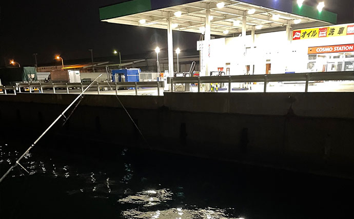 メバルは根魚なのになぜ表層で釣れるのか？　時間帯・エサ・警戒心との関係を解説