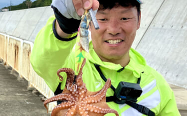 【大阪南港魚つり園】でタコ連発！ 5時間無反応からの夕マヅメに時合い到…