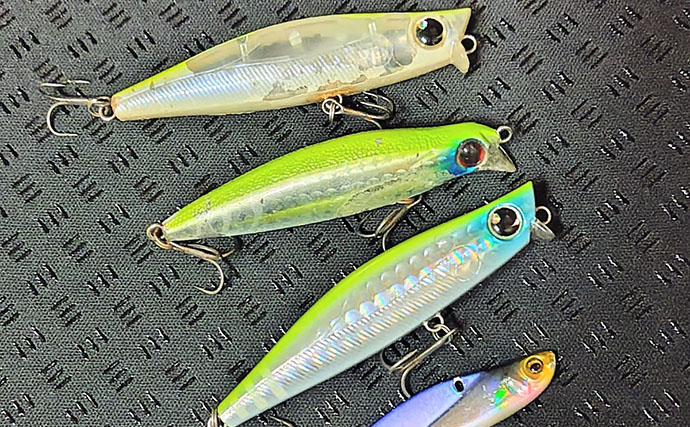 なぜシーバスはルアーで釣れるのか？　【形・動き・レンジ】が最重要ポイント