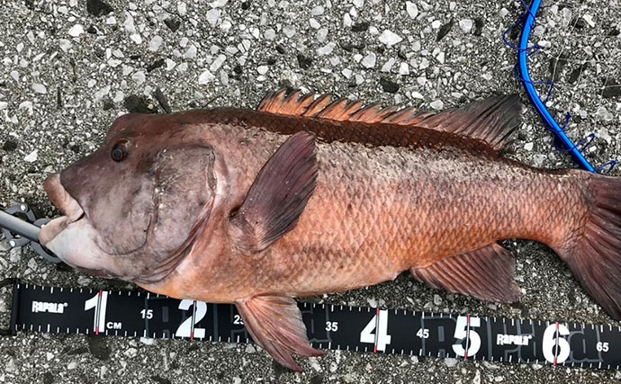 釣果写真がワンランクアップ　魚を美しく撮影する簡単テクニック3選を解説