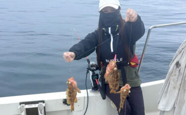 北海道の深海に潜む「ヤナギノマイ」ってどんな魚？　釣って楽しい・食べて…
