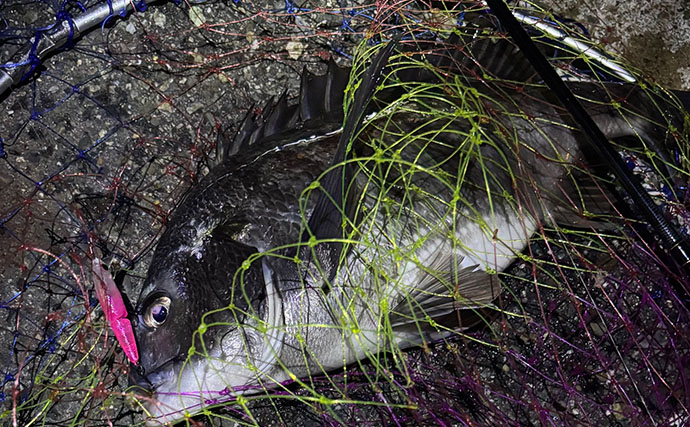 「梅雨の釣りは小雨と大雨で何が違う？」 魚の活性を左右する海中変化を解説