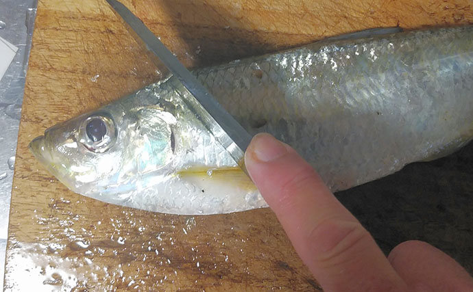 釣った魚で作る「お酢活用」レシピ：ヒラの黒糖酢　甘味ちょい足しで美味しさアップ