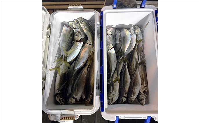 ウルトラ級の特大マダイ91cmが浮上！ジグにヒット【沖釣り釣果速報11選・北陸】