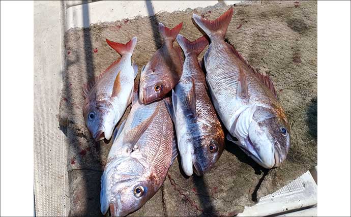 「一つテンヤ」や「イカ流し釣り」で5kg超え大型マダイが好反応【船釣り釣果速報6選・長崎／佐賀】