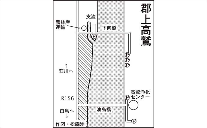 「長良川郡上漁協管内」アユ釣り解禁情報2026　昨シーズンは小型中心だったが今期は果たして？