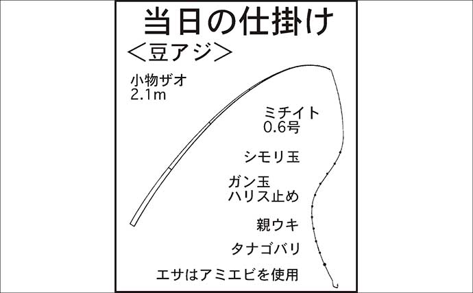 淡水小物タックル＆タナゴ仕掛けで豆アジが爆釣！【三重】アワセる爽快感がクセになる面白さ