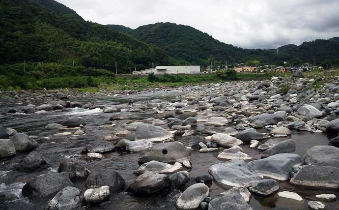 酒匂川アユ釣り解禁情報2026 【神奈川】　魚影濃くアクセスも良好な人気河川