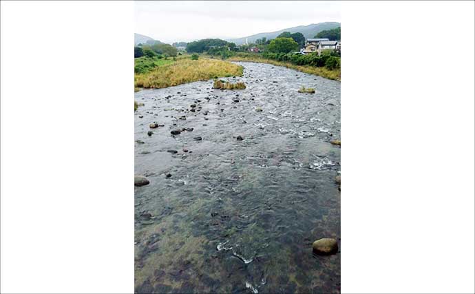 狩野川アユ釣り解禁情報2026【静岡県】 石が大きく川底の流れが極端に遅い箇所あり
