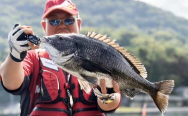 イカダでのフカセ釣りで58.5cm超大型クロダイが登場！【沼津】自己記…