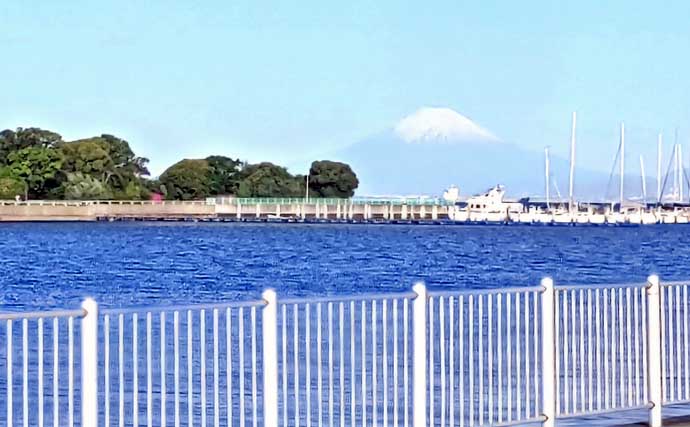 東京湾・潮干狩りレポート：木更津でアサリ規定量達成！【千葉】