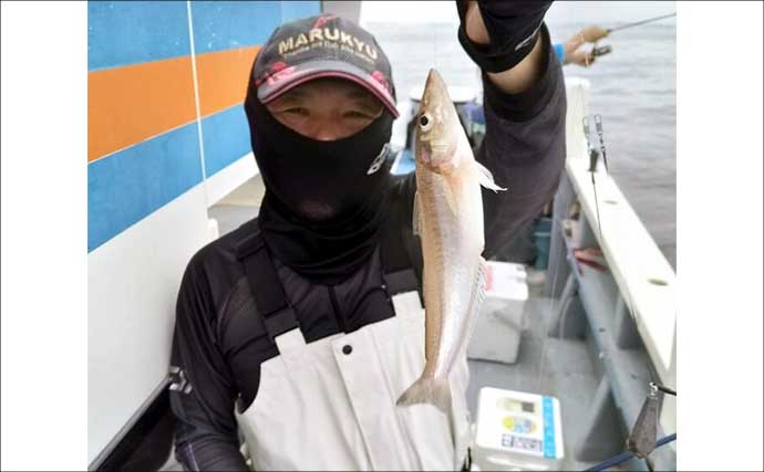 東京湾で船マダコ釣りが解禁！　関東エリアの【船釣り特選釣果8選】