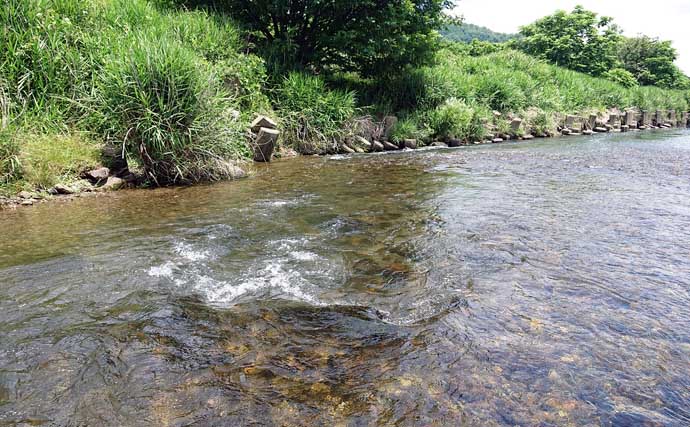 全国で人気急上昇中！「アユルアー」釣りってどんな釣り？【タックル・釣行装備・釣り方を解説】