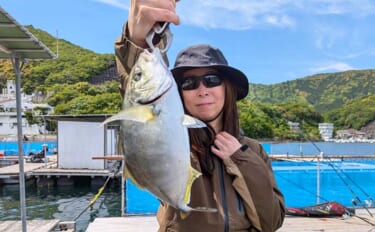 海上釣り堀で青物が爆釣！【和光・三重】ワラサとカンパチ合わせて23匹