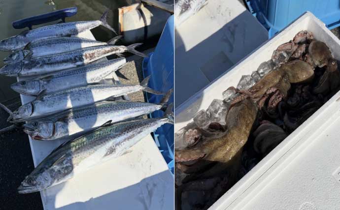 金洲五目釣りでメダイにウメイロにヒメダイ【船釣最新情報12選・愛知／静岡】