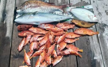 タテ釣り調査でマダイにブリに根魚が次々ヒット！【船釣り最新情報9選・三…