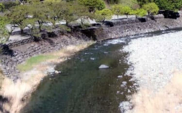 道志川アユ釣り解禁情報2026【山梨県】 代表的なポイント9選を紹介