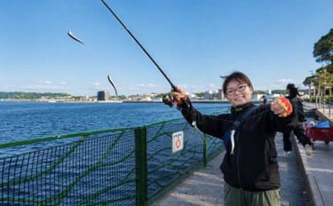 5月の「横須賀海辺つり公園」釣行レポート：サビキ釣りでカタクチイワシが…