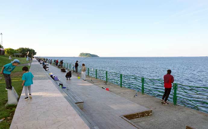 5月の「横須賀海辺つり公園」釣行レポート：サビキ釣りでカタクチイワシが爆釣！