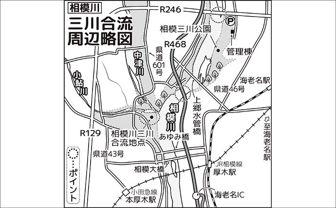 相模川アユルアー釣り完全攻略 【ポイント・レギュレーション・釣り方を解説】