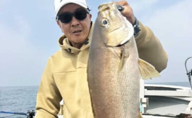 50cm級の超ビッグサイズのイサキが2桁釣果！【船釣り最新情報5選・大…